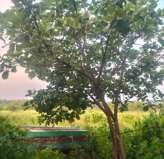 Page 3 Hostel Anjuna