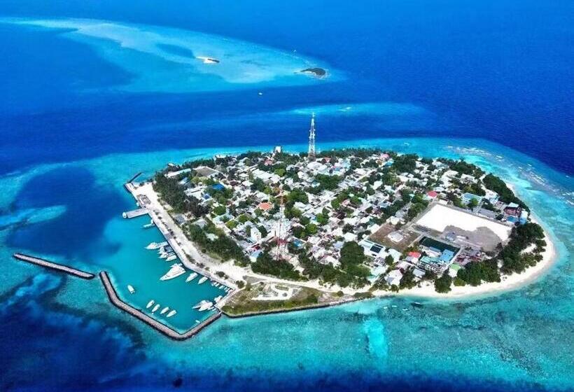 Panda Holiday 中国酒店 中国餐厅 Vx Gsundindi