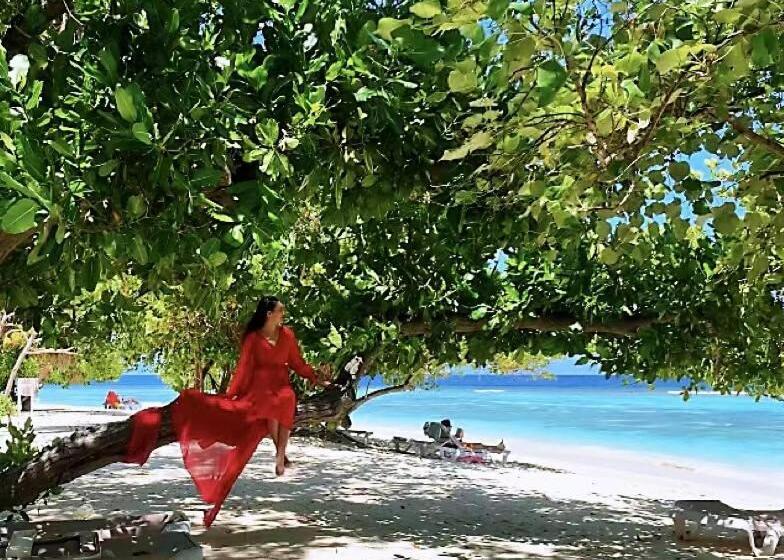 Panda Holiday 中国酒店 中国餐厅 Vx Gsundindi