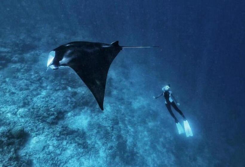 Panda Holiday 中国酒店 中国餐厅 Vx Gsundindi