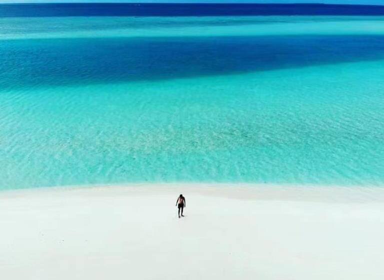 Panda Holiday 中国酒店 中国餐厅 Vx Gsundindi