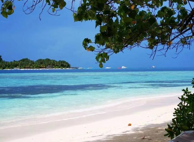 Panda Holiday 中国酒店 中国餐厅 Vx Gsundindi