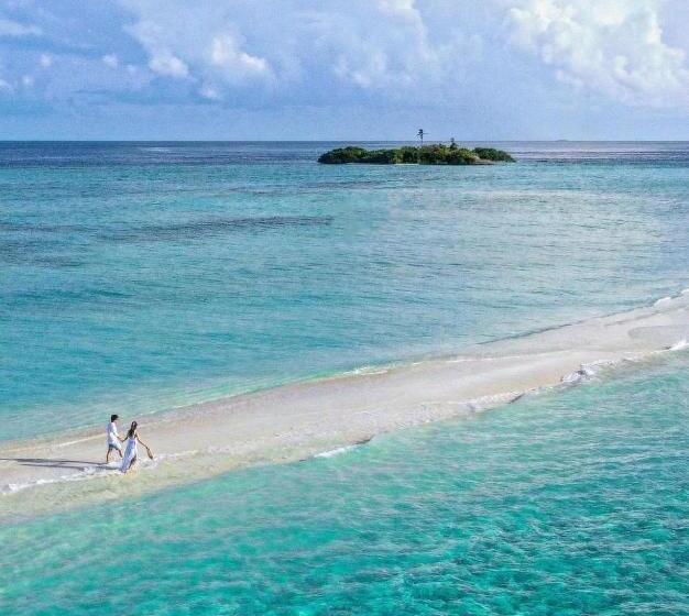 Panda Holiday 中国酒店 中国餐厅 Vx Gsundindi