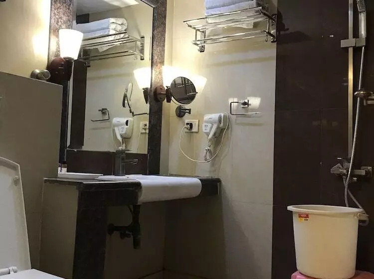 Hotelli Delite Sarovar Portico Faridabad