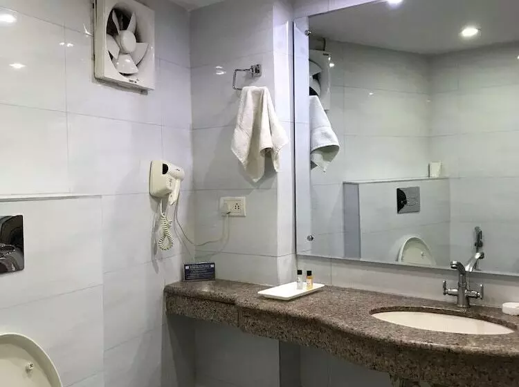 Hotelli Delite Sarovar Portico Faridabad
