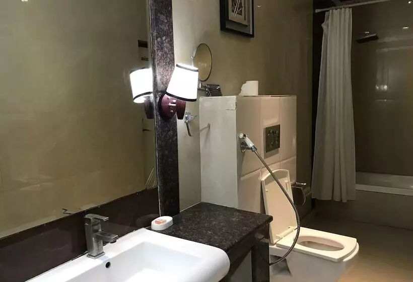 Hotelli Delite Sarovar Portico Faridabad