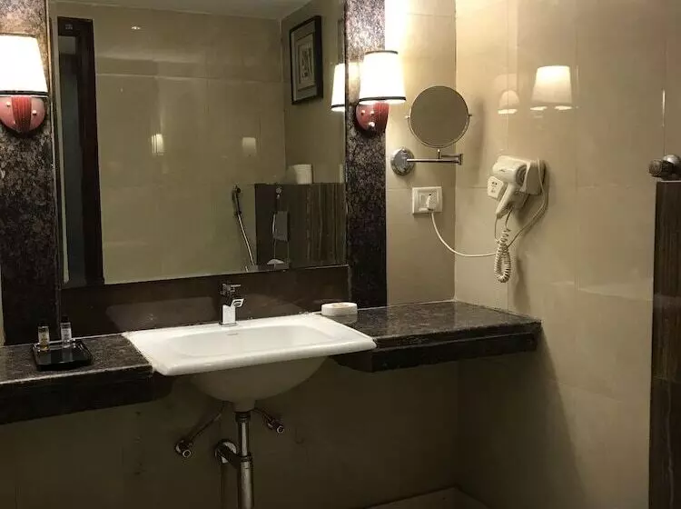 Hotelli Delite Sarovar Portico Faridabad