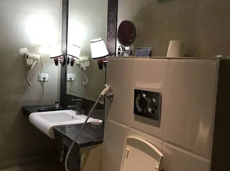 Hotelli Delite Sarovar Portico Faridabad