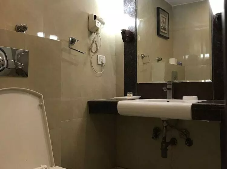 Hotelli Delite Sarovar Portico Faridabad