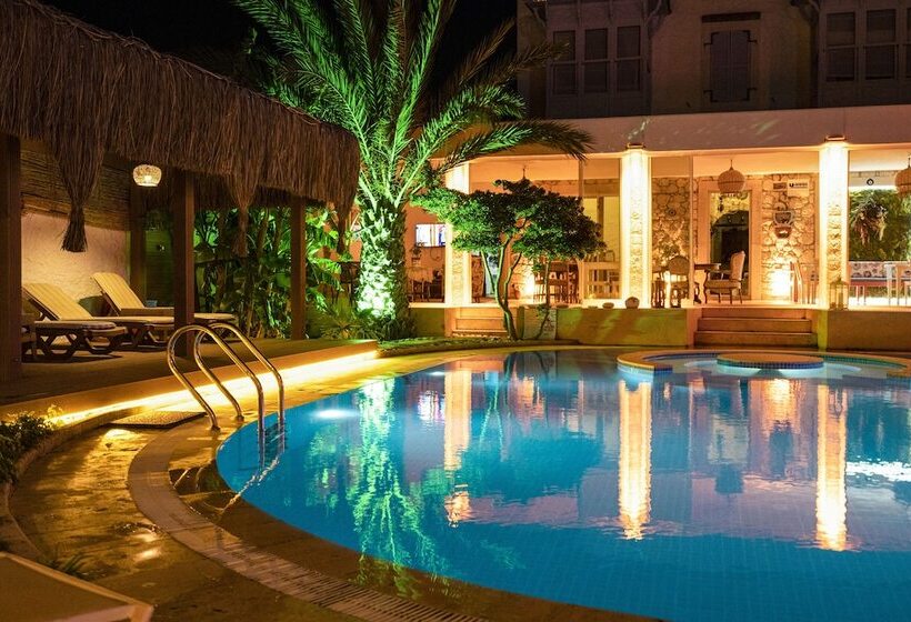 Szálloda Lale Lodge