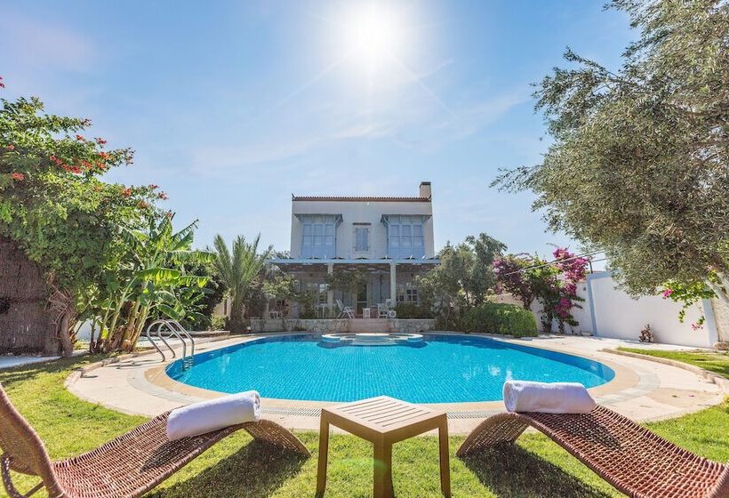 Szálloda Lale Lodge