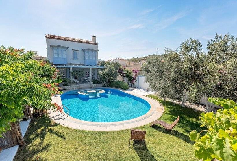 Szálloda Lale Lodge