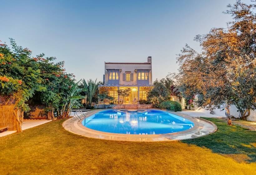 Szálloda Lale Lodge