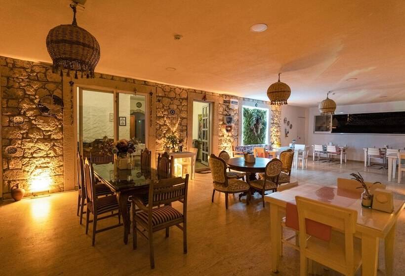 Szálloda Lale Lodge