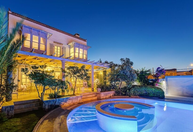 Szálloda Lale Lodge