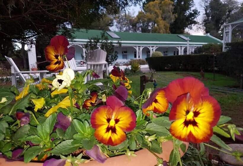 פנסיון Adley House