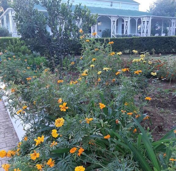 פנסיון Adley House