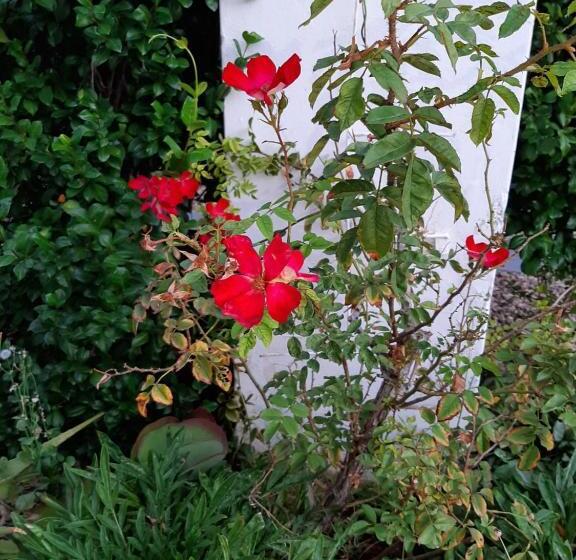 פנסיון Adley House