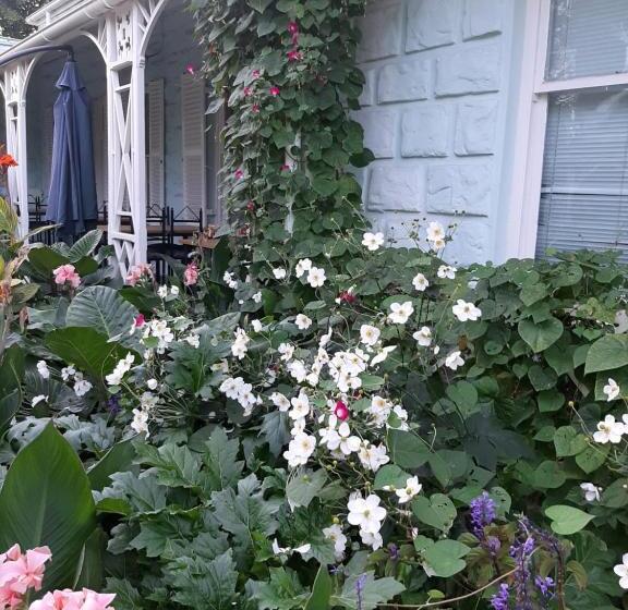 פנסיון Adley House