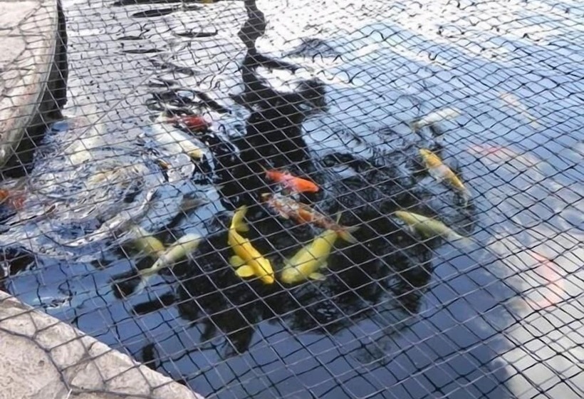 פנסיון Kings Guest House