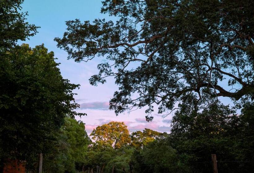 بنسيون Safari Lodge Yala