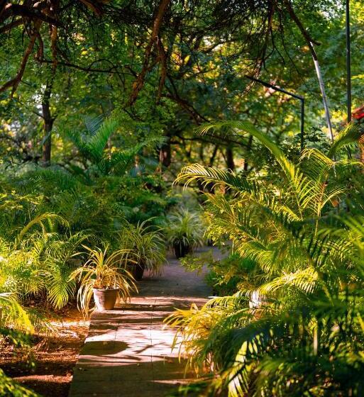 بنسيون Safari Lodge Yala