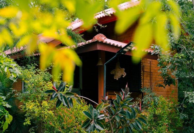 بنسيون Safari Lodge Yala