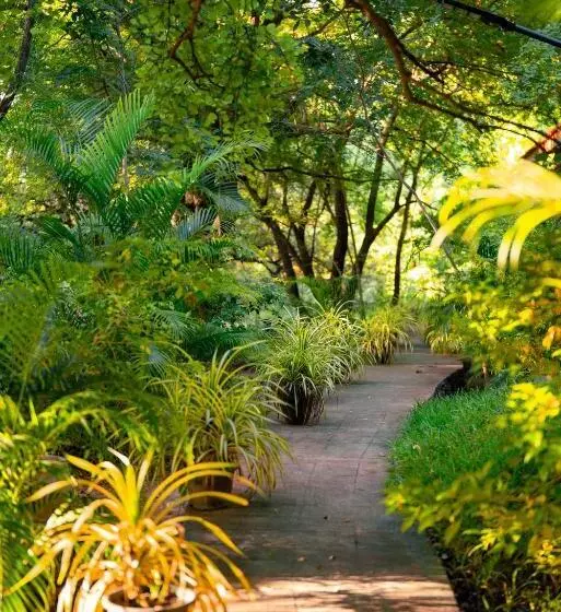 ペンション Safari Lodge Yala
