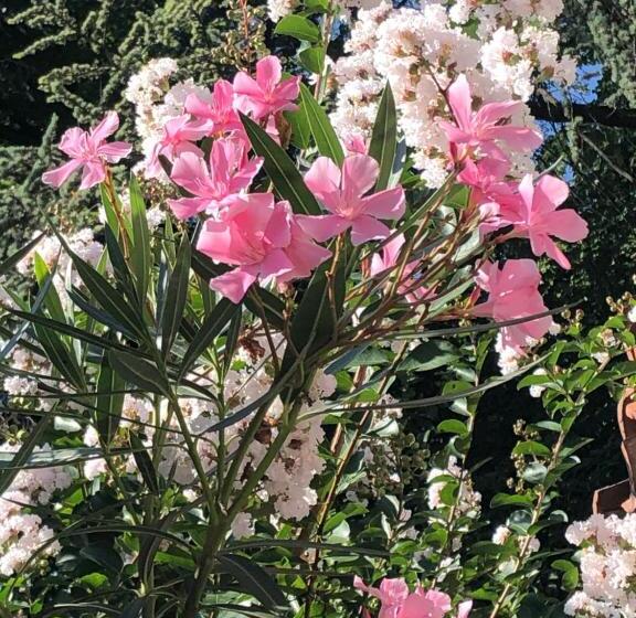 Bed and Breakfast R&b Midora