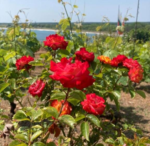 Pension South Point, резово