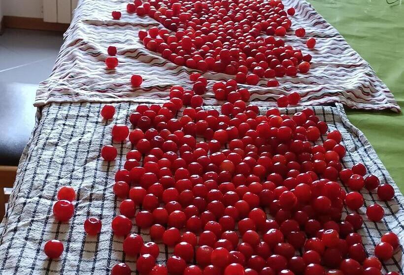 Bed and Breakfast Compiano Bb Strela 39