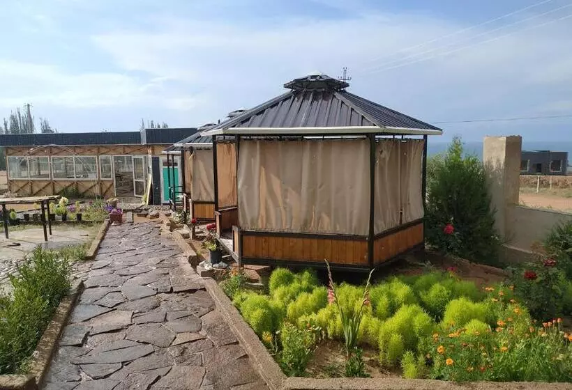 پانسیون Atauul