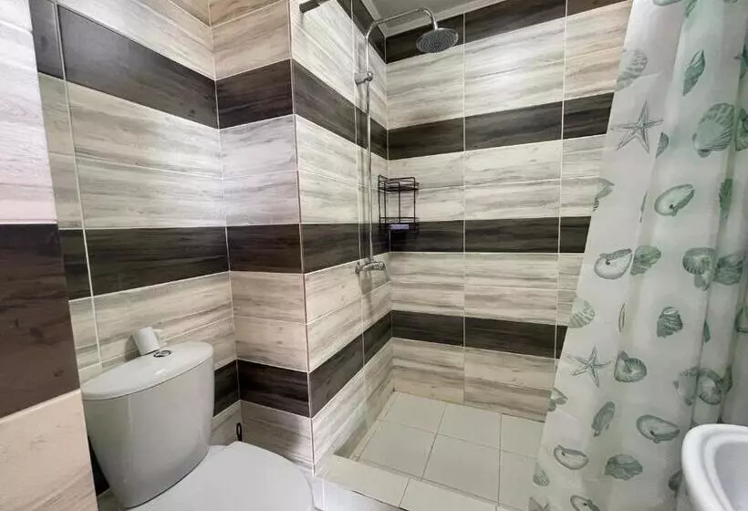 پانسیون Atauul