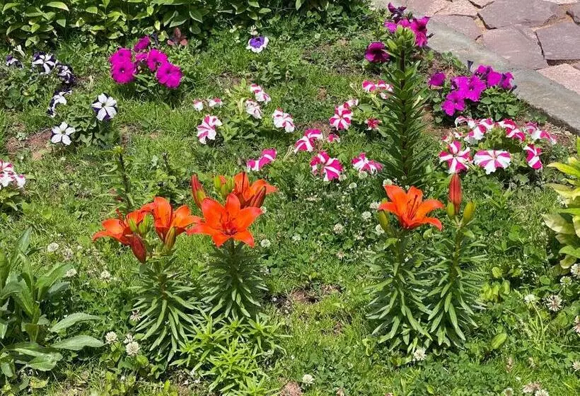 پانسیون Atauul