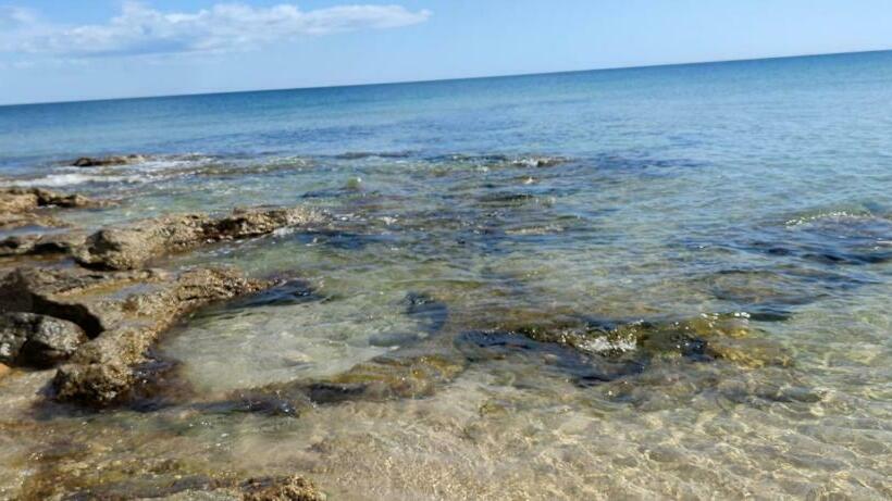 بنسيون Avola Urban Stay