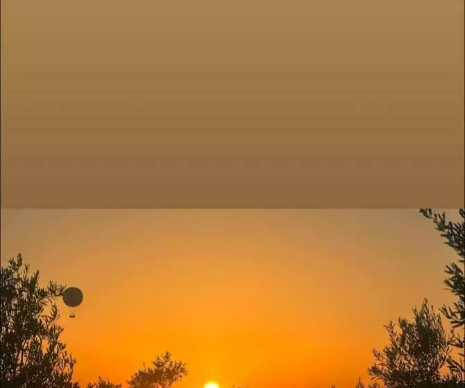 هاستل Petra Hill