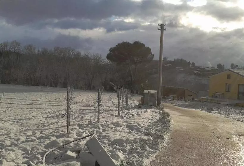 ベッドアンドブレックファースト Agriturismo San Tommaso