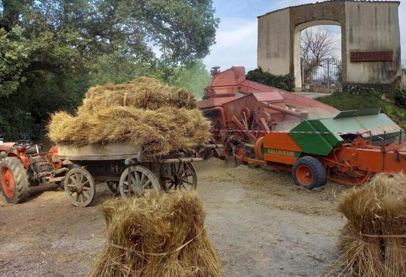 צימר Agriturismo San Tommaso