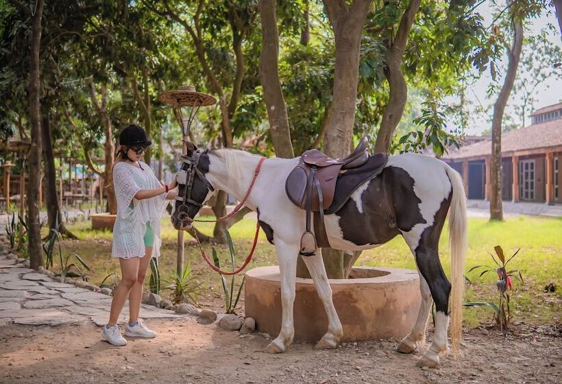 هتل Bagaicha Adventure Resort