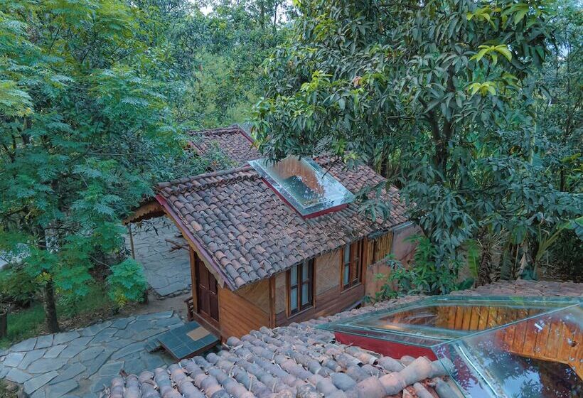 هتل Bagaicha Adventure Resort