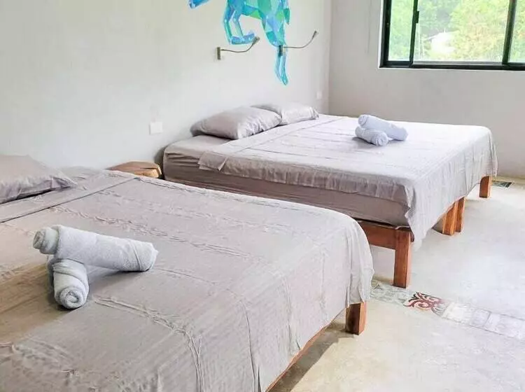 Maui Hostels Tulum