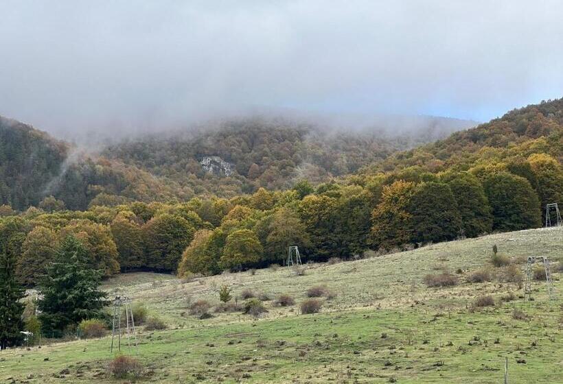 פנסיון Bed 100s