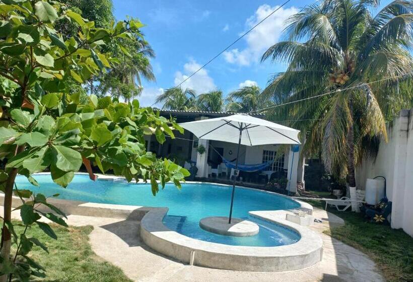 پانسیون Estancia Alfaro