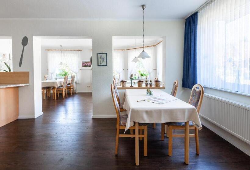 Отель Pension Wilken