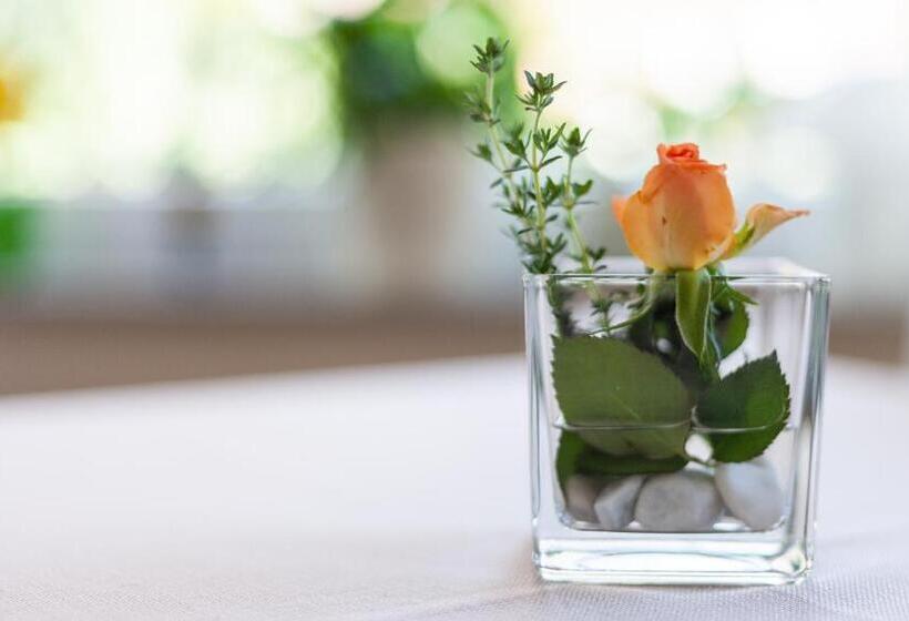 Отель Pension Wilken