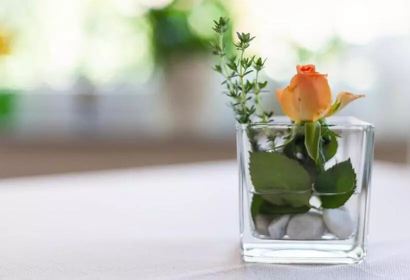 Hotelli Pension Wilken