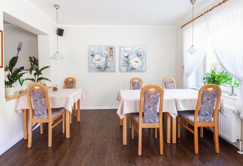 Отель Pension Wilken