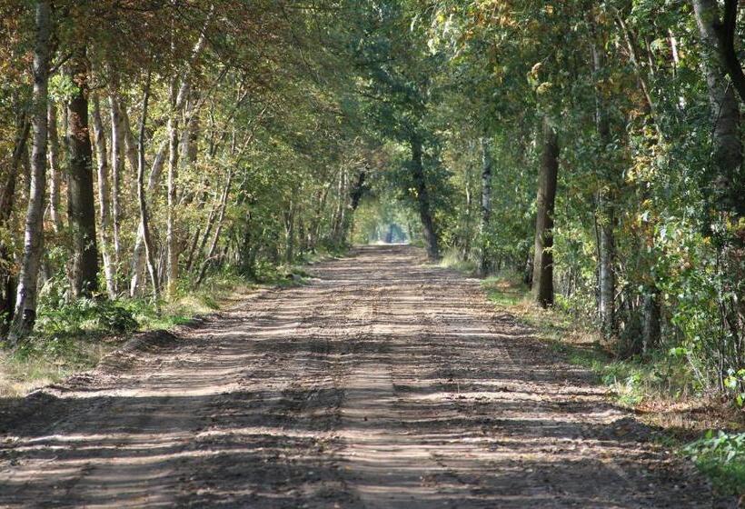 Отель Pension Wilken