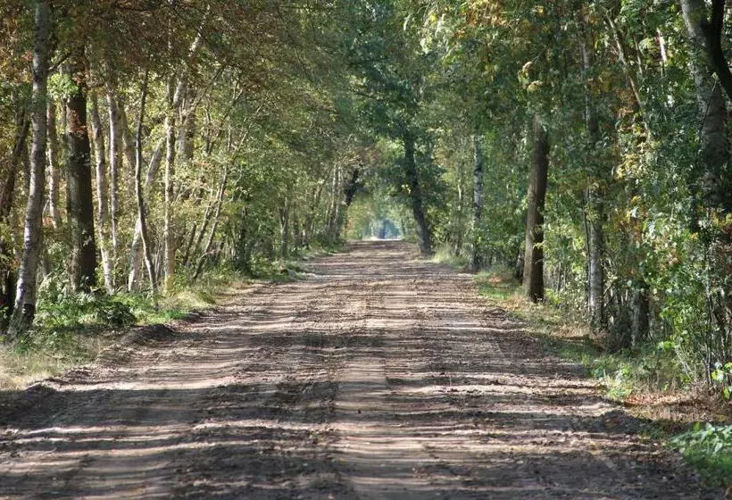 Hotelli Pension Wilken