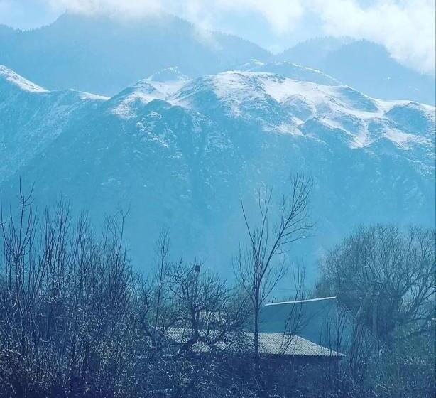 پانسیون домик светланы